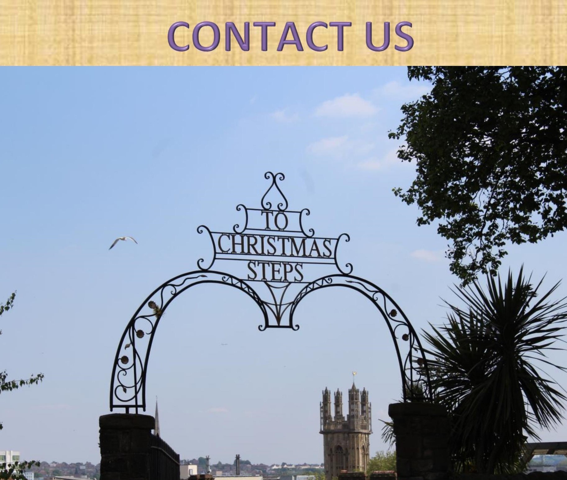 Website CONTACT US title